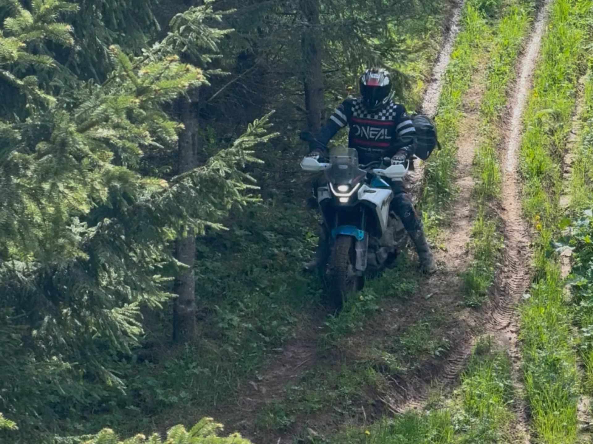 Rider on an enduro bike navigating a muddy trail through a dense forest with tall evergreen trees