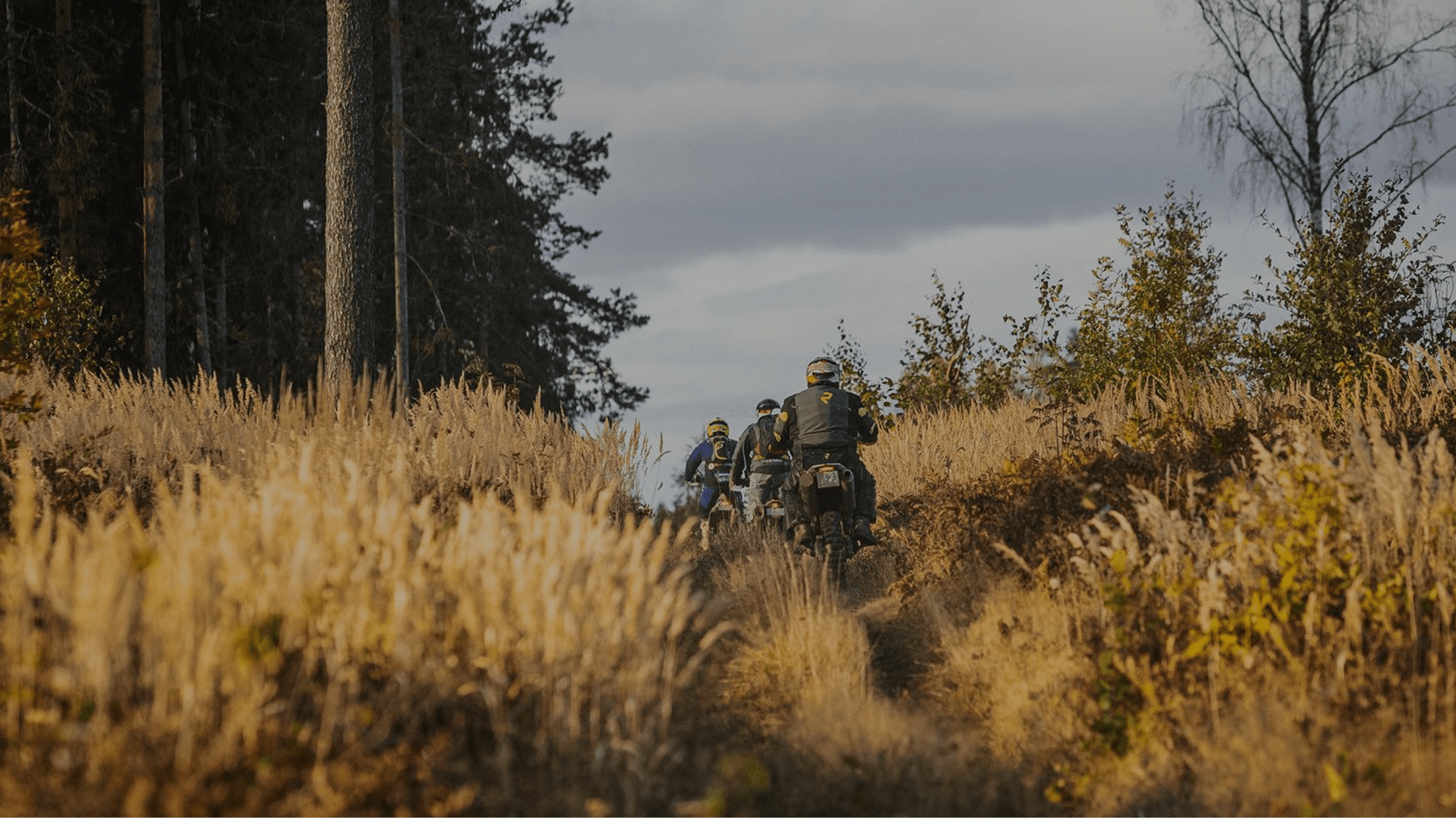 Enduro riders on sandy pine trail near Riga